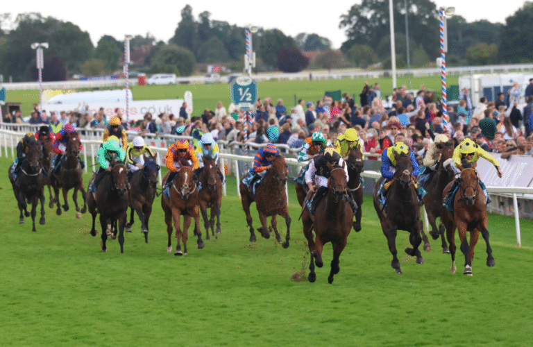 Understanding Handicap Races: How They Level the Playing Field