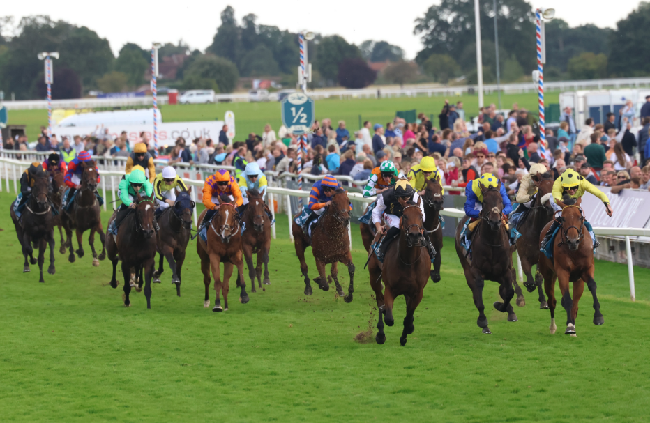 Understanding Handicap Races: How They Level the Playing Field