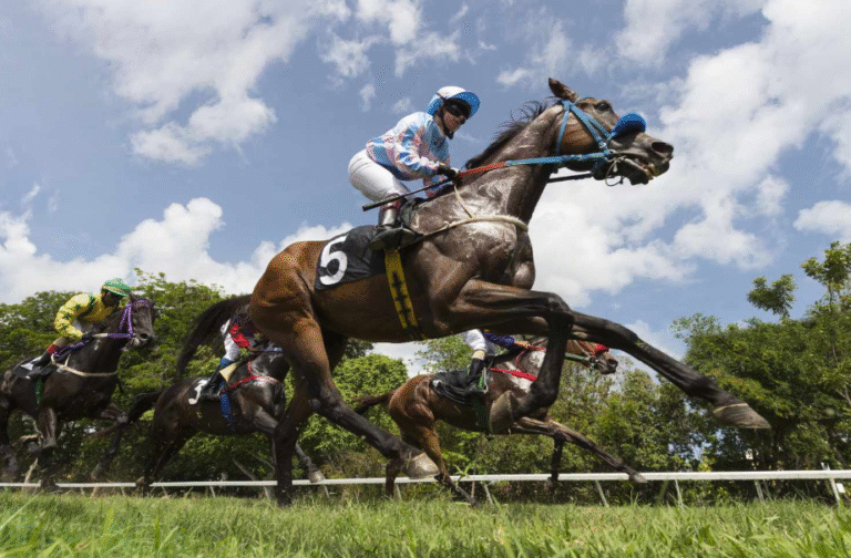 Understanding the Different Types of Horse Races
