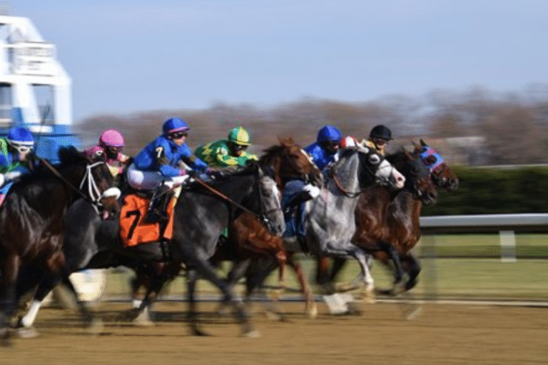 Understanding the Role of Horse Racing Stewards and Officials